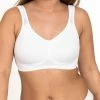 DORINA Soutien-gorge de sport Faible Prix vêtements couleur unie female -DORINA Soldes Boutique ddaa5399b4d940fabf59f4dbe7d0956a